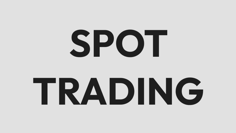 What is Spot Trading? Simple Guide to Buying and Selling